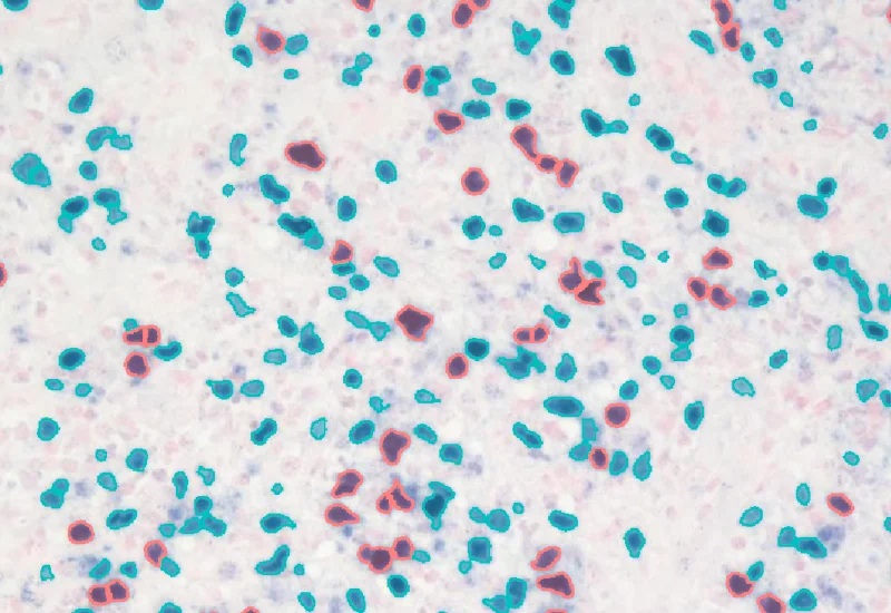 Dynamic Content Image